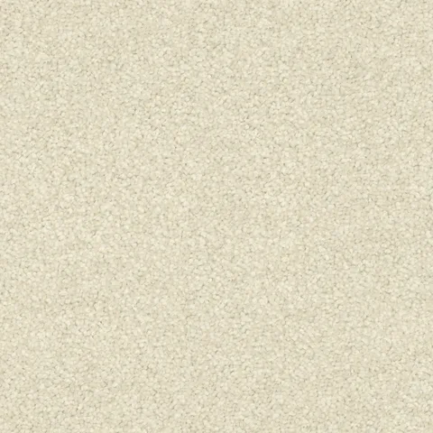 Moonlight carpet swatch